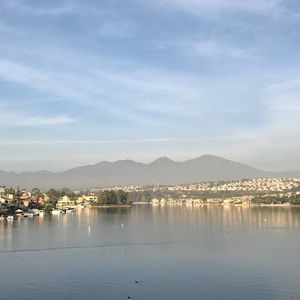 Meet your Posher, Alexander